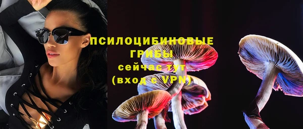 таблы Алзамай