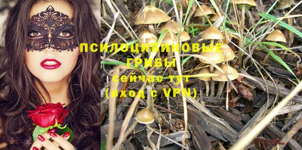 винт Абаза