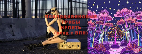 спиды Абинск